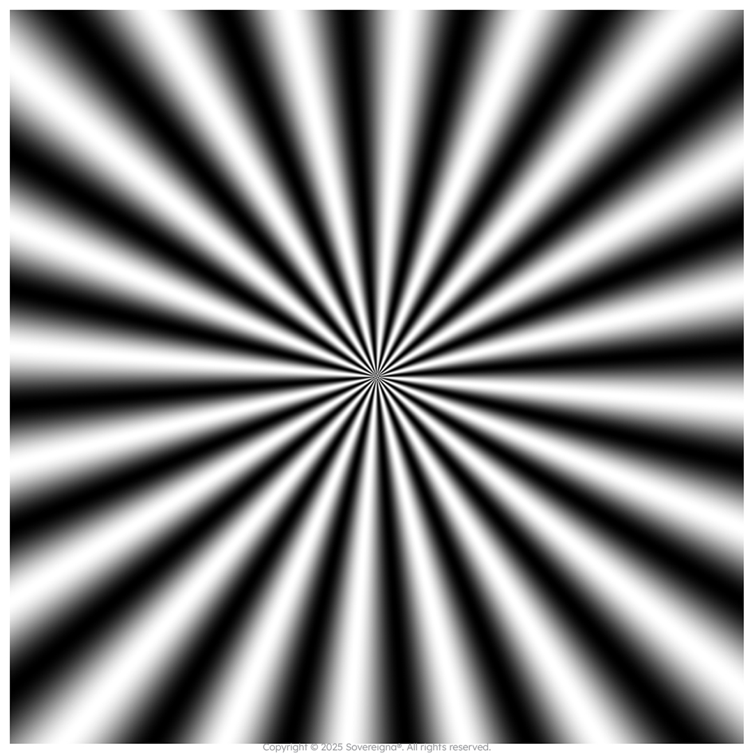 sot-zoom-1